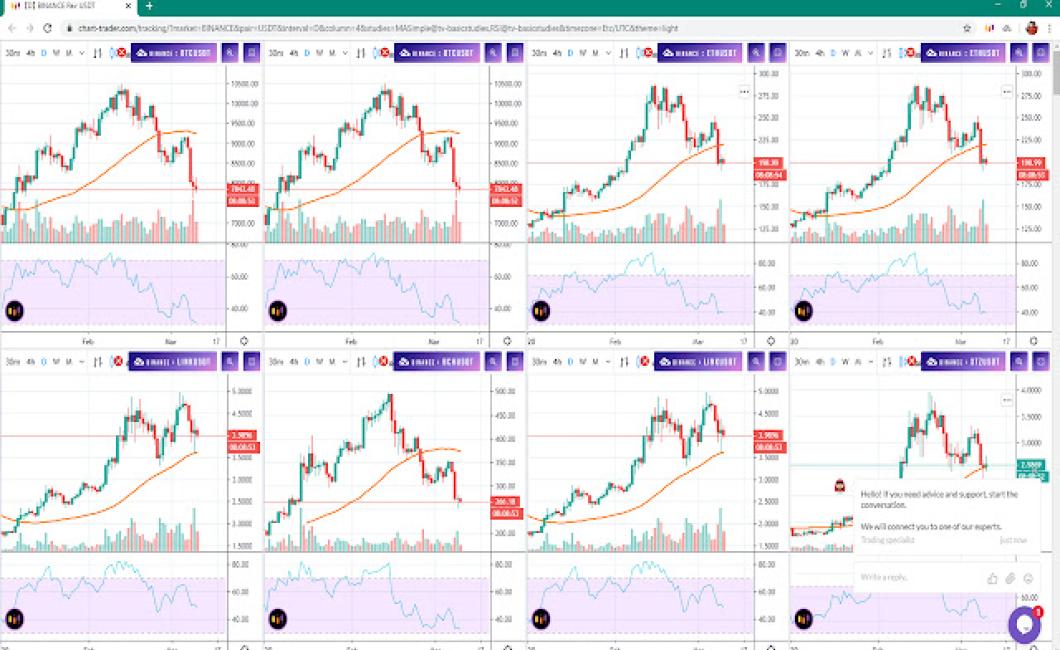 Crypto Charts LIVE: An Overvie