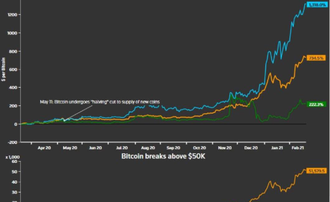 Crypto Capitalization Charts -