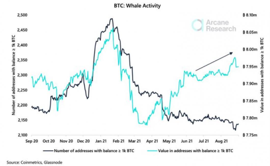 crypto whale chart